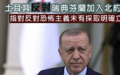 土耳其总统反对芬兰瑞典加入北约 普京：必有回应