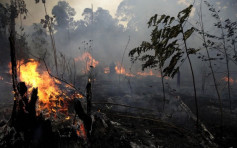 报告指亚马逊雨林去年火灾次数飙升3成