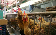 衞生防护中心正密切监察　山西首宗人类感染 H7N9禽流感个案　