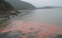 珠江口水域矽藻20年倍增 科大指与人类活动有关