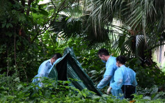 大圍男子失蹤多日 被發現伏屍大圍松嶺路橋底