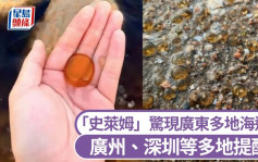 廣東多地海邊驚現「史萊姆」？　當局：不要下水！不要捕撈！