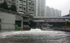 丽港城附近爆水管　马路惊现喷泉