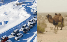 自驾游车队擅闯新疆野骆驼保护区 坏车走散致3死1失踪