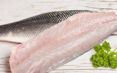 福克蘭群島進口冷藏白鱈魚檢出水銀超標