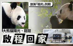 旅英大熊猫「阳光」「甜甜」启程返国
