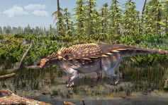 英国发现新恐龙 身上披甲有尖刺  和中国甲龙或是近亲