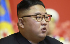 北韓禁止平壤民眾養狗 金正恩：腐敗資本主義文化