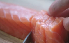 挪威旅遊局上傳影片介紹養殖方法 強調當地三文魚安全