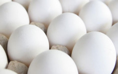 美國雞蛋疑受沙門氏菌污染 美心等5商戶曾進口6000箱