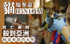 猫染H5N1禽流感死亡病例杀到亚洲   南韩连爆3宗