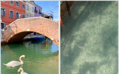 意大利「封城」遊客銳減 威尼斯運河重拾美景清澈見底