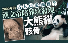 2000年前古人已爱熊猫︱汉文帝陪葬坑发现熊猫骨骸  考古学家惊讶：「罕见」