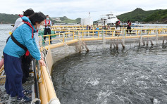 漁護署設智慧養殖示範場 助本地漁業轉型