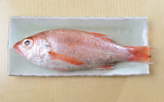 日本進口冷凍鯛魚樣本水銀超標