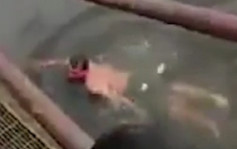 【有片】印尼巫师称神功护体 遭鳄鱼拖入河溺毙