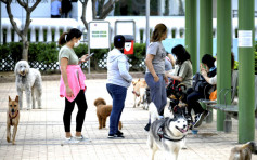 狗主飼犬有責 申訴署調查漁護署監管是否到位