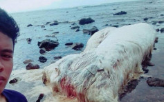 菲律宾地震后惊现神秘生物尸体