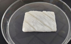浙江大学科研团队 成功培育首宗人工合成鱼肉