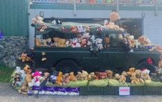 多國掀起窗邊放小熊為停課學童解悶 新西蘭總理亦參與