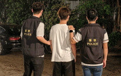 藍田平田邨5單位相繼被淋紅油 18歲青年涉刑毀被捕