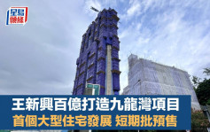 王新興百億打造九龍灣項目 首個大型住宅發展 短期批預售