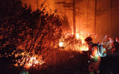 内蒙古大兴安岭森林发生多宗火灾 动员5000人灭火