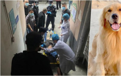 杭州獨居翁突中風倒地 「忠犬」反常狂吠惹鄰居起疑報警救一命