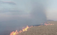 蒙古國草原大火一度蔓延至中國境內 現已完全撲滅