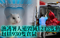 第5波疫情｜1213只动物包括930只仓鼠遭人道处理 料本周内灭全港宠物店仓鼠