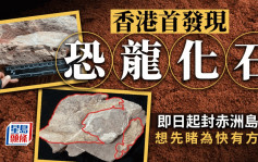 恐龙化石｜香港首发现距今至少6600万年 10.25向公众展出 赤洲岛暂封锁