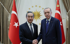 王毅接任外長後首訪土耳其  與總統埃爾多安會晤