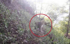 杭州动物园3只金钱豹逃脱疑瞒报 村民称周初曾发现豹踪