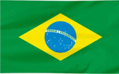 【南美经济】巴西2021年GDP增长4.6%