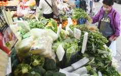 疫情消息｜內地供港蔬菜逾2200公噸 天氣反覆致菜芯批發價上升