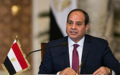 埃及逾8成选民支持修宪 总统塞西有望掌权至2030年