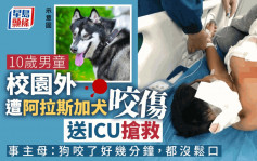 湖南10岁男童遭阿拉斯加犬咬伤 仍在ICU抢救