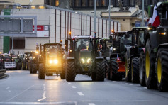 捷克农民驾拖拉机驶入布拉格市中心 加入欧洲多国抗议活动