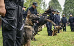 內地刑警學院將售淘汰犬 起價200元人民幣