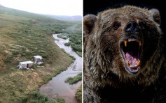 野外連續7日遭同一灰熊襲擊 美漢爬屋頂畫SOS獲救