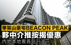畢架山豪宅BEACON PEAK 夥中介推按揭優惠 內地本地客各佔一半
