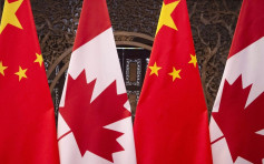 中國封殺油菜籽進口 加拿大向WTO正式提訴