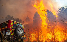 法国西南部山火蔓延 近一万公顷土地受灾 