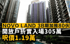 NOVO LAND 3B期加推80伙 開放戶折實入場305萬 呎價1.19萬