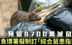 预留8700万灭鼠 食环署拟制订「综合鼠患指数」