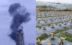 江西化工厂疑泄漏有毒气体 56村民不适送院农作物严重受损