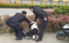 安徽市民草叢發現「熊貓」報警　警趕抵才知醉酒女