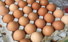 美国回收逾2亿只鸡蛋 疑受沙门氏菌污染 至少22人患病