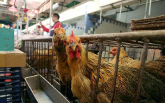 广西增一宗人染H7N9死亡病例　曾吃自家病鸡