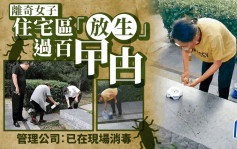 河北女子住宅區花園放生過百隻蟑螂　網民：「她的蟑螂是自己養的嗎？」︱有片